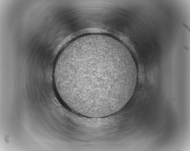 X0000102240015200808151804