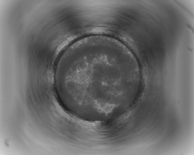 X0000102240016200808151804