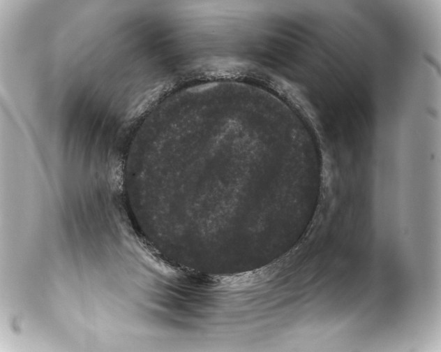 X0000102240017200808151804