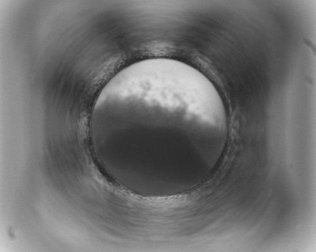 X0000102240018200808151804