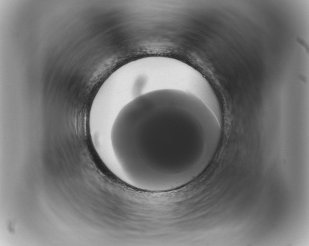 X0000102240019200808151804