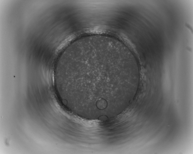 X0000102240020200808151804