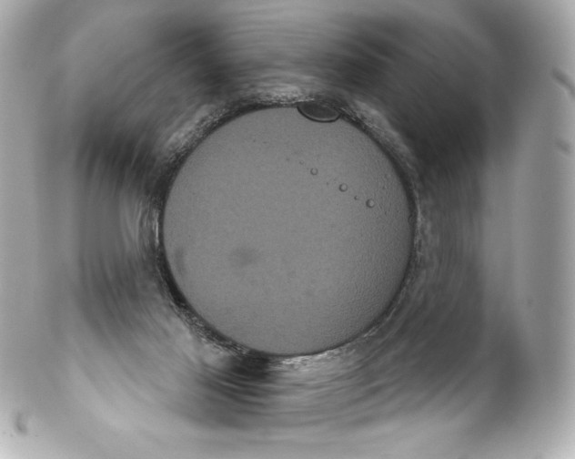 X0000102240021200808151804