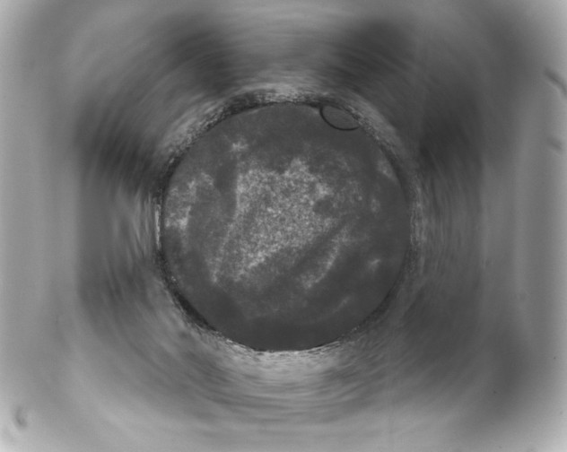 X0000102240022200808151804