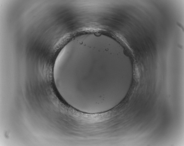 X0000102240023200808151804