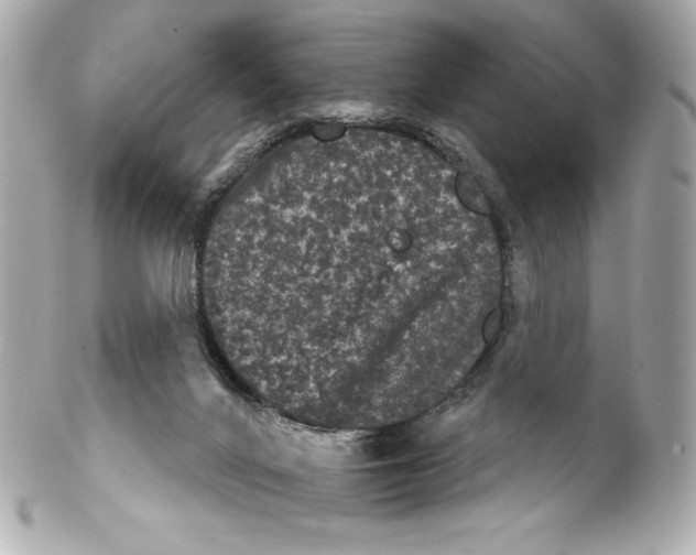 X0000102240024200808151804