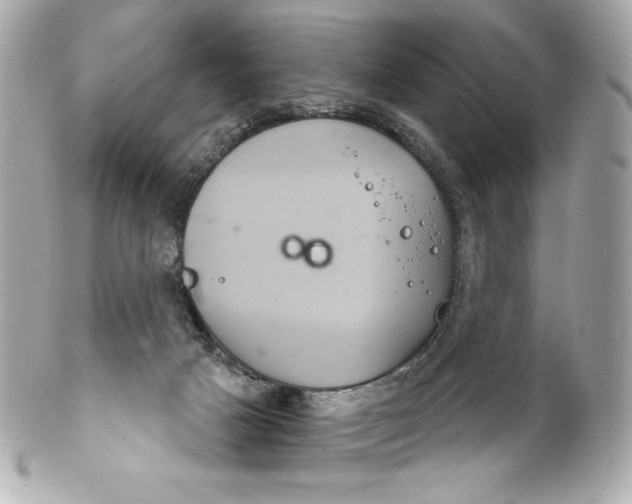 X0000102240025200808151804