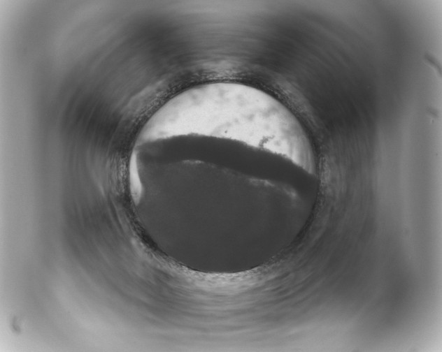 X0000102240026200808151804