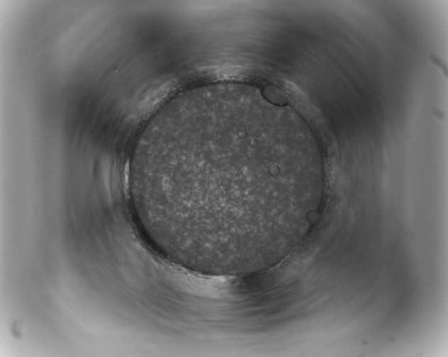 X0000102240028200808151804