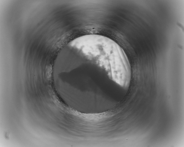 X0000102240030200808151804