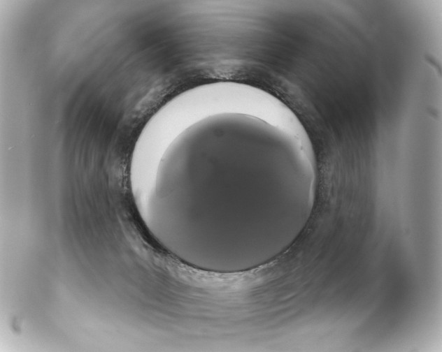 X0000102240031200808151804