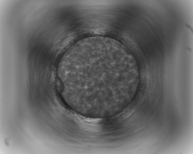 X0000102240032200808151804