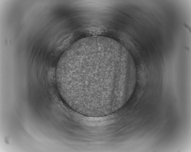 X0000102240034200808151803