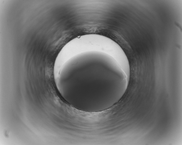 X0000102240035200808151803