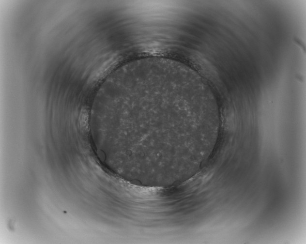 X0000102240036200808151803