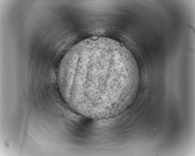 X0000102240037200808151803