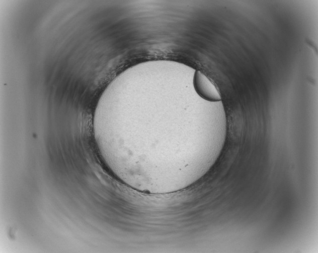 X0000102240038200808151803