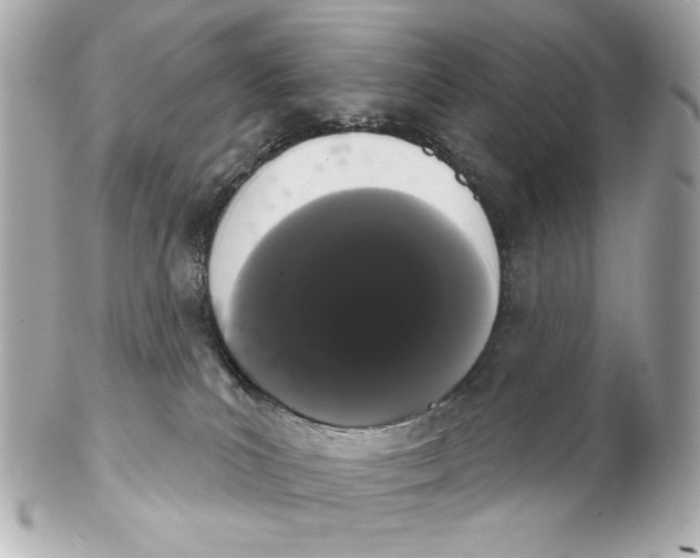 X0000102240039200808151803