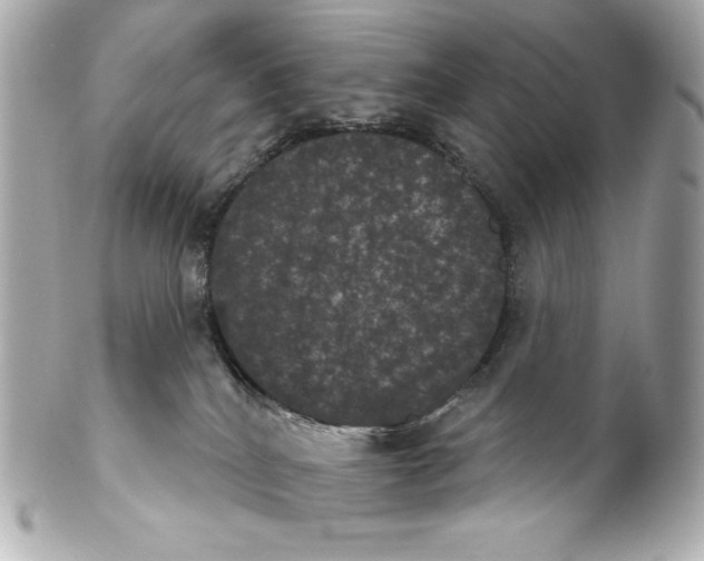 X0000102240040200808151803