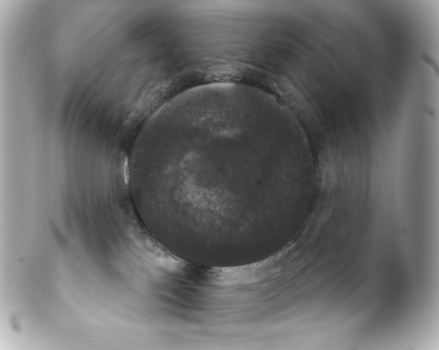 X0000102240041200808151803