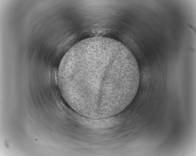 X0000102240042200808151803