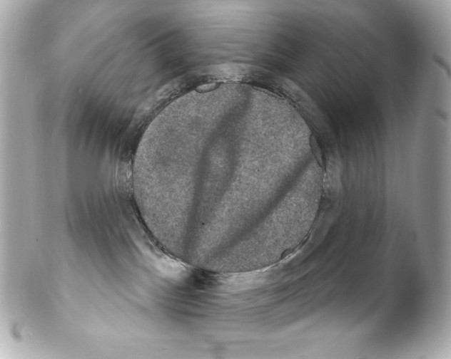 X0000102240045200808151803