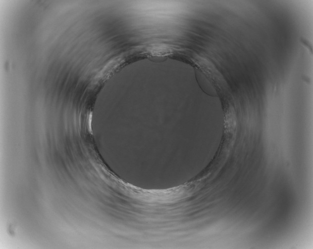 X0000102240046200808151803