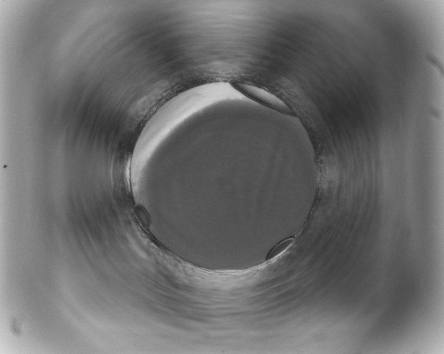 X0000102240047200808151803