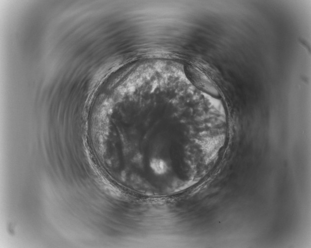 X0000102240049200808151803