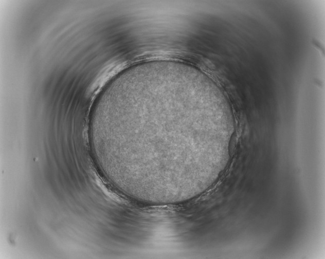 X0000102240050200808151803