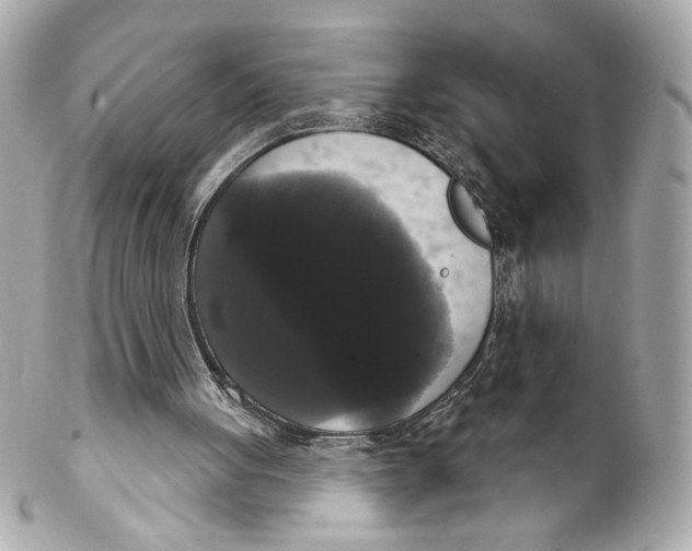 X0000102240051200808151803