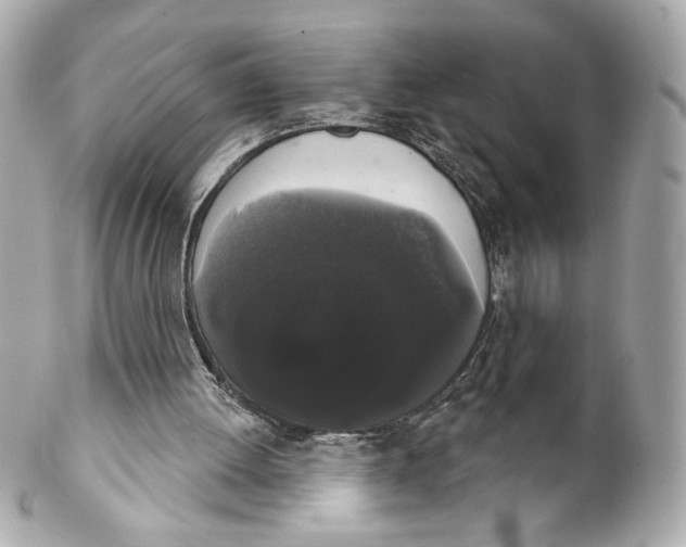 X0000102240052200808151803