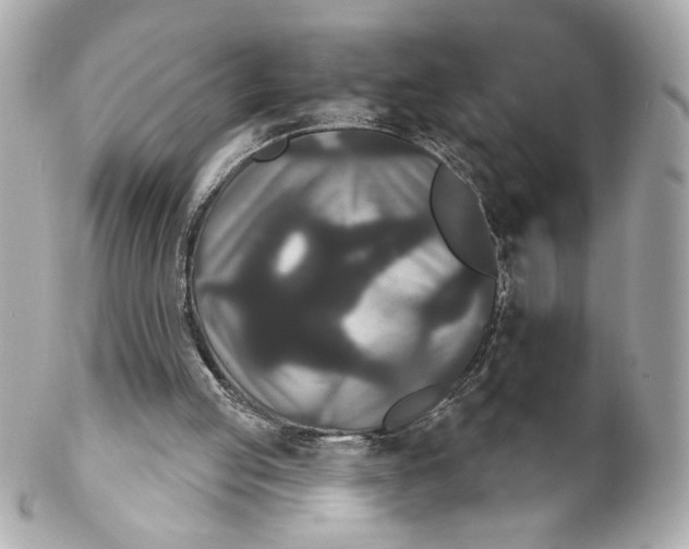 X0000102240053200808151803