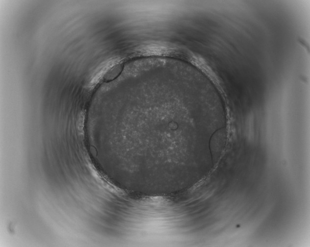 X0000102240058200808151803