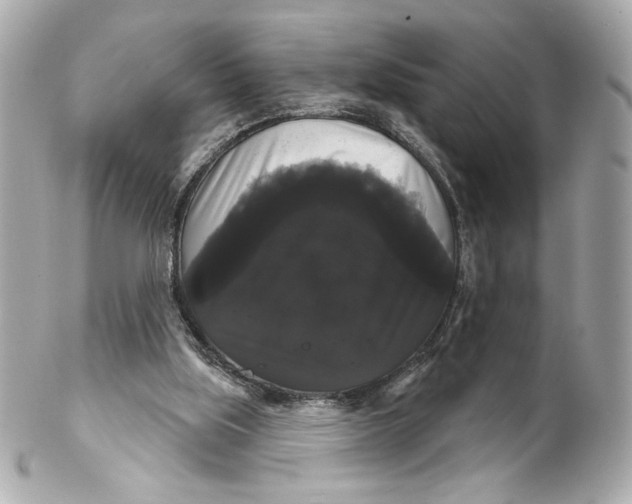 X0000102240059200808151803