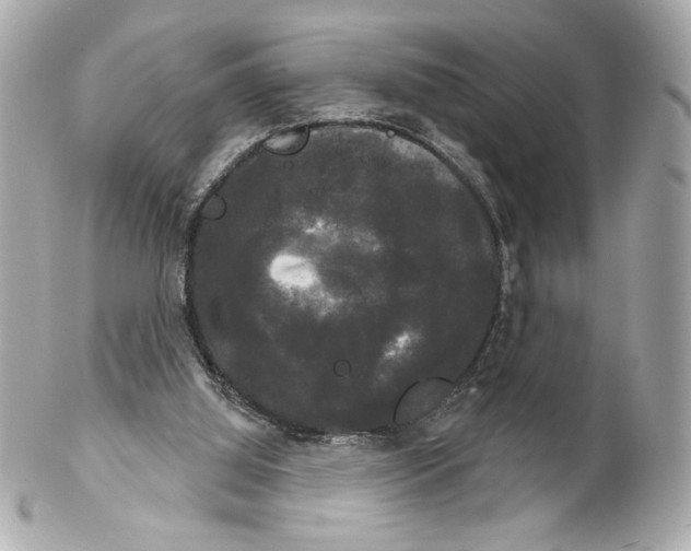 X0000102240060200808151803