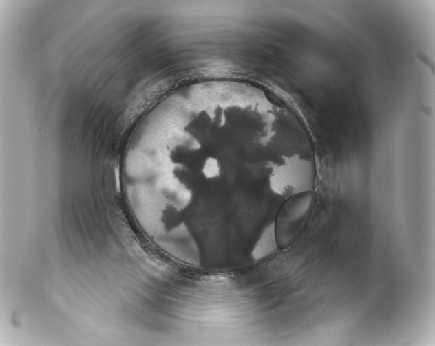 X0000102240061200808151803