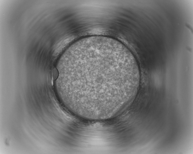 X0000102240062200808151803