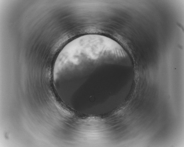 X0000102240063200808151803