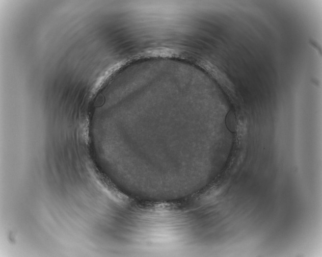 X0000102240064200808151803