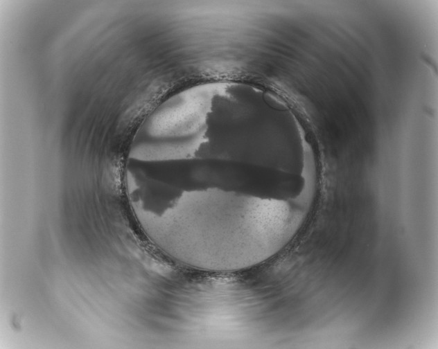 X0000102240065200808151803