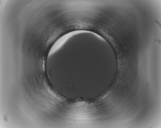 X0000102240067200808151803