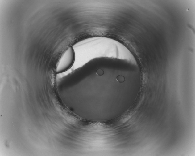 X0000102240069200808151803