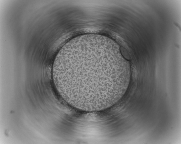 X0000102240071200808151803