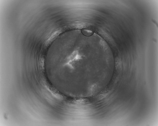 X0000102240072200808151803