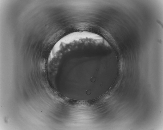 X0000102240073200808151803