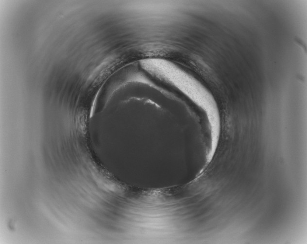 X0000102240074200808151803