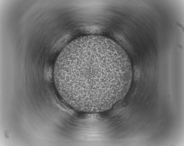 X0000102240077200808151803