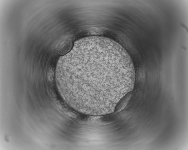 X0000102240078200808151803