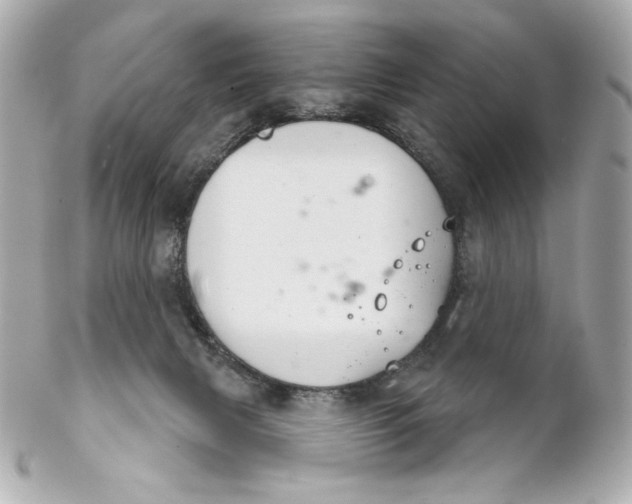 X0000102240079200808151803